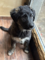 /album/246/594122883-1273329108159759-5095583106883888312-n-jpg/