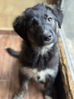 /album/246/593590868-1273328948159775-4467144719957725968-n-jpg/