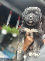 /album/246/561315031-1234845118674825-4194851635640670984-n-jpg/