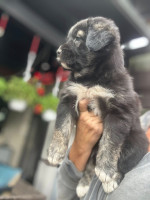 /album/246/514270256-1234845142008156-7114574340729466085-n-jpg/