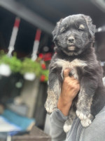 /album/246/561255431-1234845452008125-6489052956485378207-n-jpg/