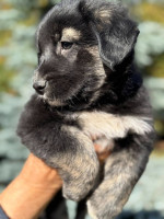 /album/246/561592442-1234845372008133-6611762652867532527-n-jpg/