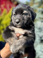 /album/246/559729916-1234845158674821-2631360625220692648-n-jpg/