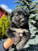 /album/246/561188394-1234845218674815-2570354374979835032-n-jpg/