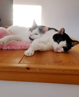 /album/15-12-2025/e4ec036f-01fa-4f96-bd29-579d59454356-jpeg/