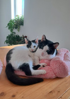 /album/15-12-2025/ba4dbf70-62b2-41f5-89a3-a74ae9a6d794-jpeg/