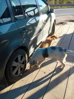 /album/198/571176004-1245343257625011-2510651973721551008-n-jpg/