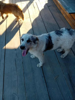 /album/198/571405385-1245343224291681-9099485119194781834-n-jpg/