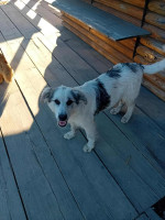 /album/198/514262578-1245343347625002-8323097315962776025-n-jpg/