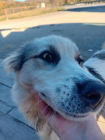 /album/198/574352783-1245343174291686-576255419734956804-n-jpg/