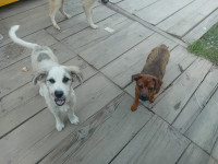 /album/198/571237001-1245343187625018-8000058213478890452-n-jpg/