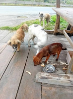 /album/198/561598745-1245343364291667-5114001329465233645-n-jpg/