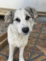 /album/198/574244945-1245343160958354-7347728635085037862-n-jpg/