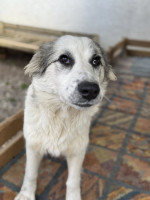 /album/198/574268344-1245343370958333-3985483673382388333-n-jpg/