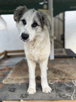 /album/198/574365418-1245343270958343-5120426652715823099-n-jpg/