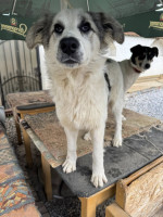 /album/198/573055962-1245343234291680-8362960837172873775-n-jpg/