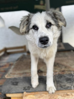 /album/198/574378793-1245343334291670-1620736100039239909-n-jpg/