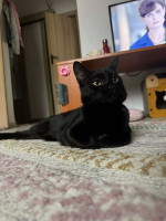 /album/22-12-20251/aa71d95e-072d-4ce7-940c-bd711d60a463-jpeg/