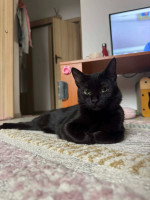 /album/22-12-20251/375b0790-90a4-41b3-a6b7-0499a7463970-jpeg/