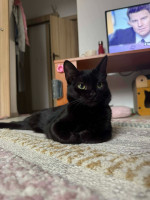 /album/22-12-20251/ffb4a0e3-7d56-4534-8c03-42094e9793f7-jpeg/