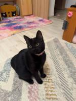 /album/22-12-20251/8cb67c4d-5fcb-4927-83e2-0761d3f7b2eb-jpeg/