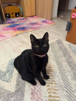 /album/22-12-20251/2f44962c-caa0-4aa0-a1e9-5d9ec5357876-jpeg/