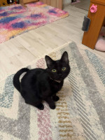 /album/22-12-20251/64efd147-51b4-40e1-81f9-3ec41b6d9fd7-jpeg/