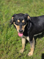 /album/mei-20251/499843461-1057176609843738-7719557910958307000-n-jpg/