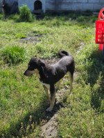 /album/mei-20251/499785529-1057176666510399-7393399894554255607-n-jpg/