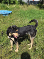 /album/mei-20251/499677111-1057176633177069-7127750795777745043-n-jpg/