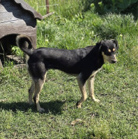 /album/mei-20251/500048713-1057176429843756-6820803257893939271-n-jpg/