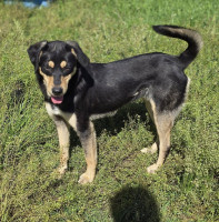 /album/mei-20251/499760465-1057176906510375-7982484656464205976-n-jpg/