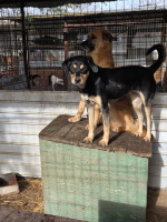 /album/17-11-20255/1212b9a7-bb9f-4b08-b8f0-1f1d6d591ad7-jpeg/