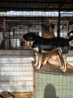 /album/17-11-20255/5a226a30-b9e6-4be5-bea5-b656c5d4ac96-jpeg/