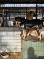 /album/17-11-20255/83c14cf8-bdf6-4864-b45e-13a4feb609e8-jpeg/