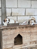 /album/17-11-20256/d3961e17-1330-4d6e-aed5-4433e896c7ba-jpeg/