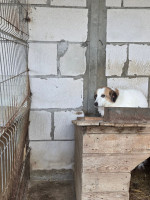 /album/17-11-20256/f9223154-2523-4375-bc72-4655ea9103e2-jpeg/