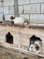 /album/17-11-20256/21dbafdb-3d54-495b-8ca3-c07f0ba4e4ed-jpeg/