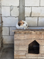 /album/17-11-20256/868aae3d-c389-4a76-b279-9afb4212c9b5-jpeg1/