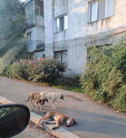 /album/44/557624693-1164388069122591-2902097941827404156-n-jpg/