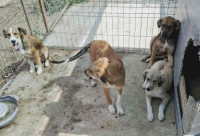 /album/44/557745119-1164388612455870-1048073779250496218-n-jpg/