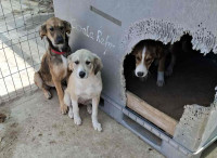 /album/44/559811065-1164388539122544-8609281939988316348-n-jpg/