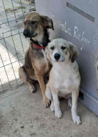 /album/44/558124560-1164388179122580-8503929176717432882-n-jpg/