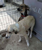 /album/247/557624776-1164388489122549-4132016636324542641-n-jpg/