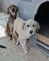 /album/247/557612419-1164388259122572-6142513423733941837-n-jpg/