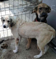 /album/247/557634638-1164388202455911-7055007964059477954-n-jpg/