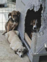 /album/248/557883422-1164398425788222-3993475304565024330-n-jpg/