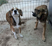 /album/248/559906055-1164398412454890-664312073694068815-n-jpg/