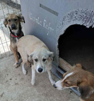 /album/248/560022861-1164398322454899-6546485745773981239-n-jpg/