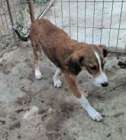 /album/248/557954679-1164398292454902-3512793776836867422-n-jpg/